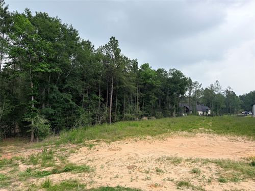 4601 High Meadow West Ct, Montgomery, TX, 77316-3515 | Card Image
