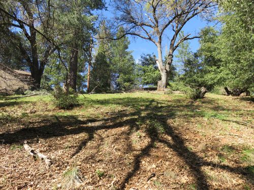 16670 Delores Ct, Pioneer, CA, 95666-9638 | Card Image