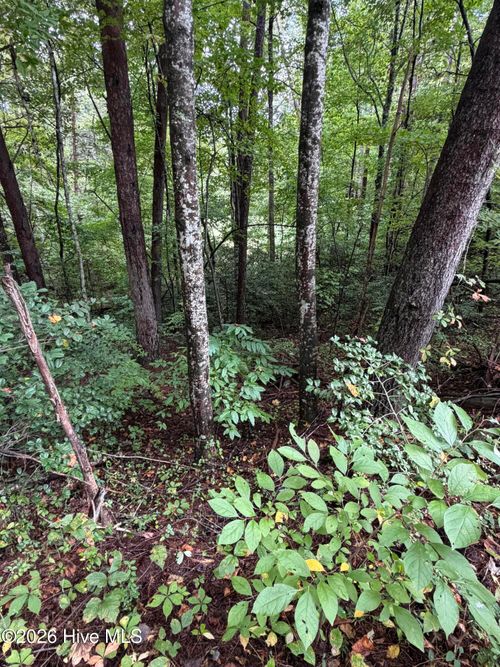 0 Little Wolfcreek Road, Murphy, NC, 28906 | Card Image