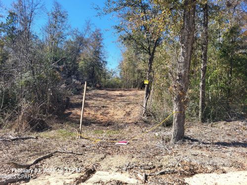 Lot 8 Nw Backwoods Rd, Altha, FL, 32421 | Card Image