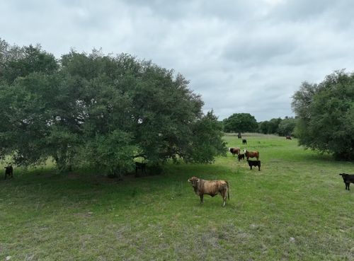TBD Lot 3 County Road 127 Road, Ledbetter, TX, 78946 | Card Image
