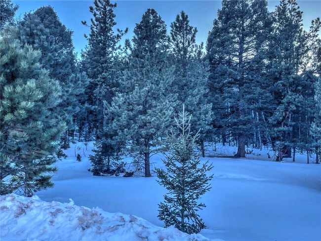 1174 Monarch Dr, Home with 0 bedrooms, 0 bathrooms and null parking in Cripple Creek CO | Image 12