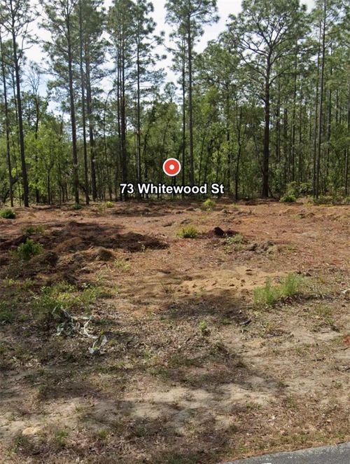 73 Whitewood St, HOMOSASSA, FL, 34446-4141 | Card Image