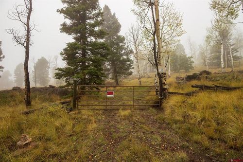 210 Kebler Trl, Powderhorn, CO, 81243 | Card Image