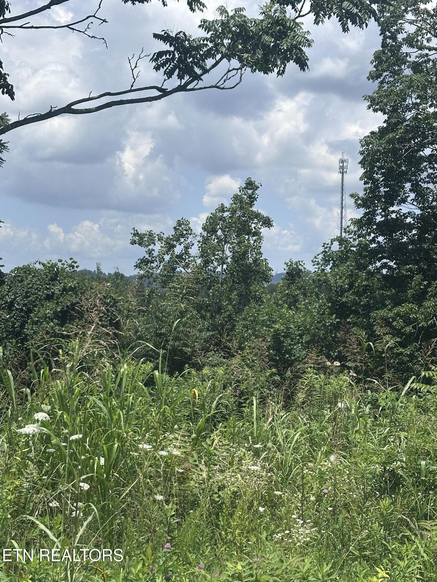 Land in Dandridge 5