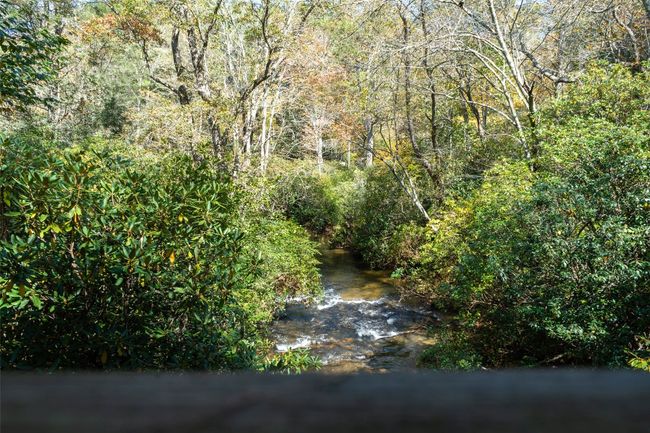12 Horseshoe Bend Ln, Home with 0 bedrooms, 0 bathrooms and null parking in Cullowhee NC | Image 25