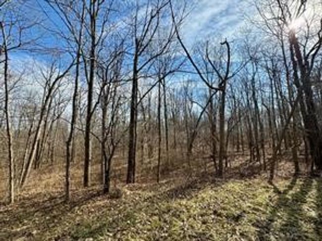 0 Belle Cornell/State Route 414 Drive, Home with 0 bedrooms, 0 bathrooms and null parking in Dix NY | Image 6