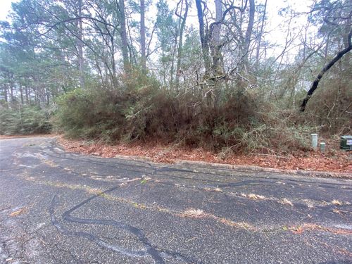 28605 E Beechnut Ct, Huntsville, TX, 77320 | Card Image