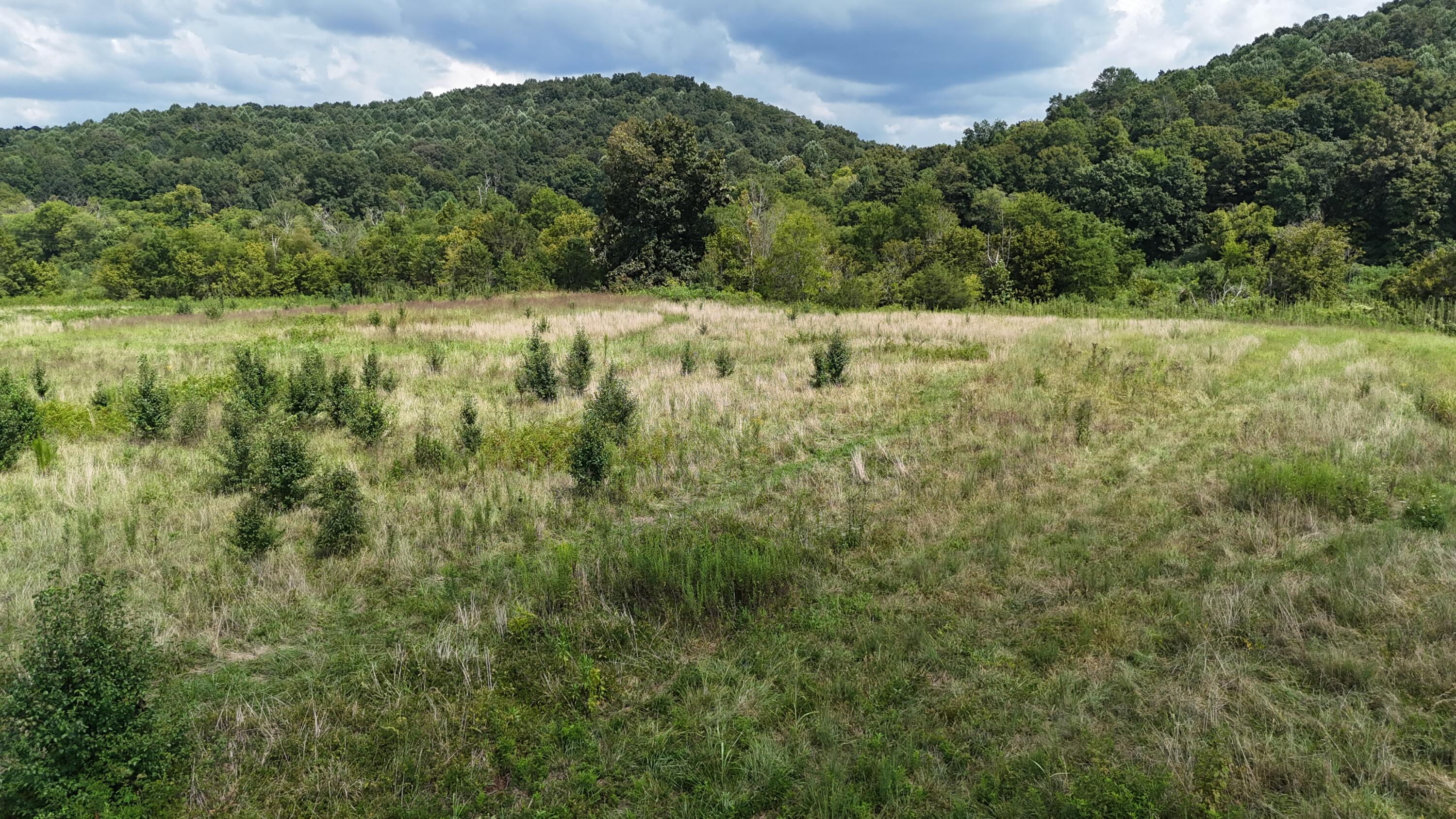 Land in Riceville