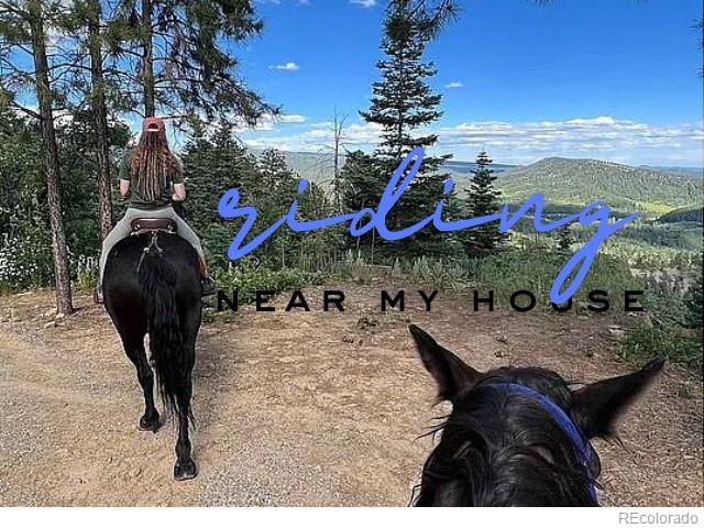 Lake View Dr, Bayfield, CO 81122