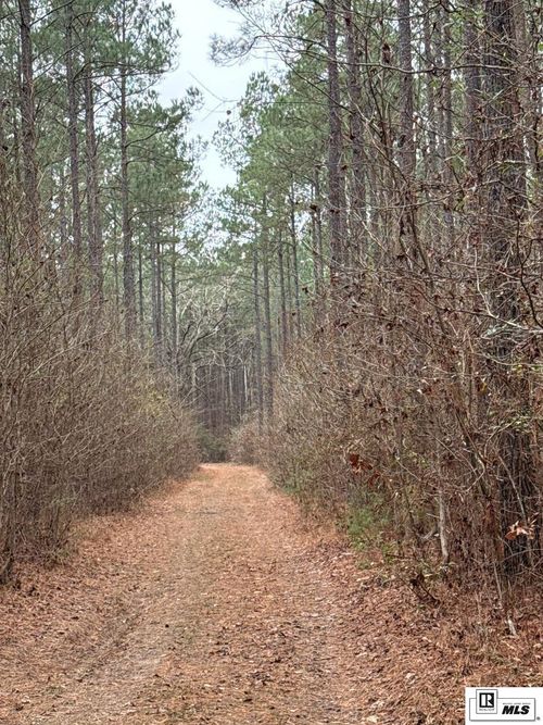 0 Highway 818, Ruston, LA, 71270 | Card Image