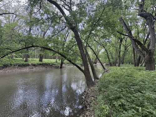 Lot B Hwy 136, Fisher, IL, 61843 | Card Image