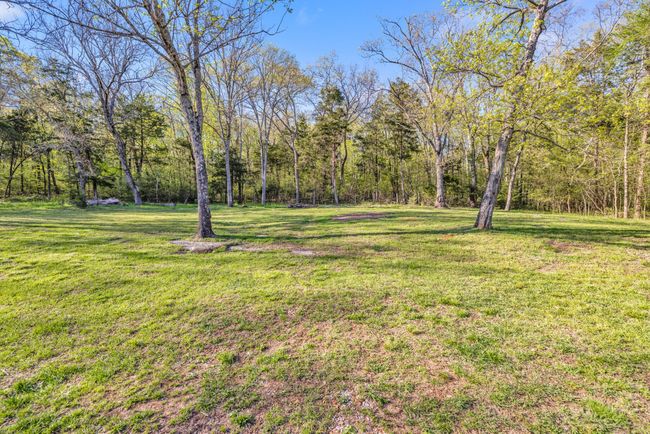 Great back yard with plenty of room for whatever you’d like. Great for bon fires. | Image 43