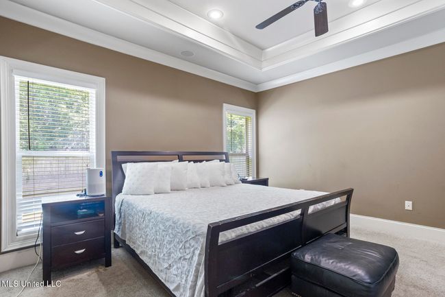 111 Meadow Pointe Cove-14 | Image 15