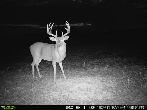 00000 E 140th St S, South Haven, KS, 67140 | Card Image