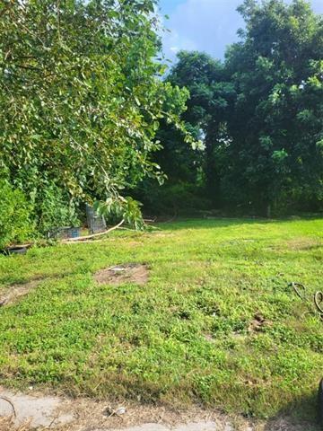 Land in New Orleans 2