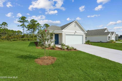 1010 Brooke Ridge Lane, Boiling Spring Lakes, NC, 28461 | Card Image