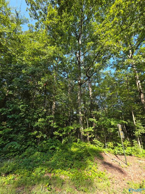 Lot 36 County Road 249, Leesburg, AL, 35983-3038 | Card Image