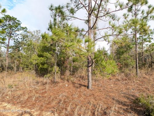 430 Cherry Street, Interlachen, FL, 32148 | Card Image