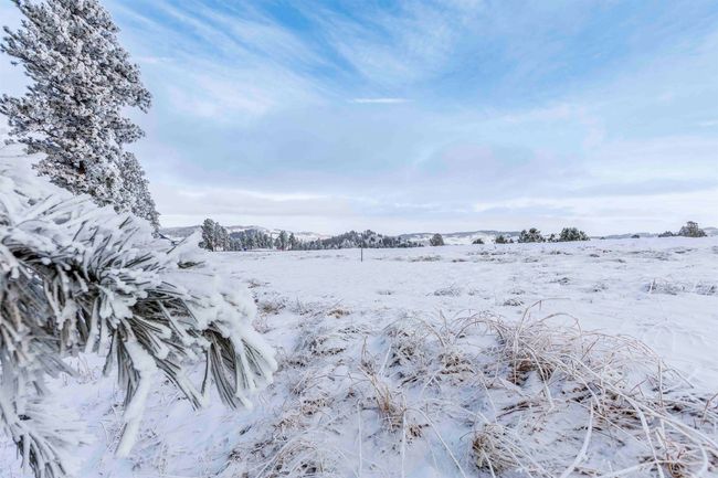 Lot 3 Niobrara Dr, Home with 0 bedrooms, 0 bathrooms and null parking in Whitewood SD | Image 5