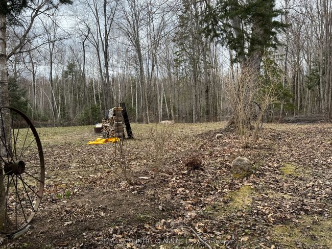 11780 Highway 28, House other with 5 bedrooms, 2 bathrooms and 10 parking in Apsley ON | Image 38