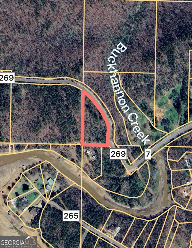 0 County Road 269, Home with 0 bedrooms, 0 bathrooms and null parking in Wedowee AL | Image 33