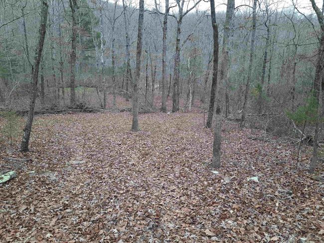 000 S Ar 9 Hwy, Home with 0 bedrooms, 0 bathrooms and null parking in Mountain View AR | Image 6