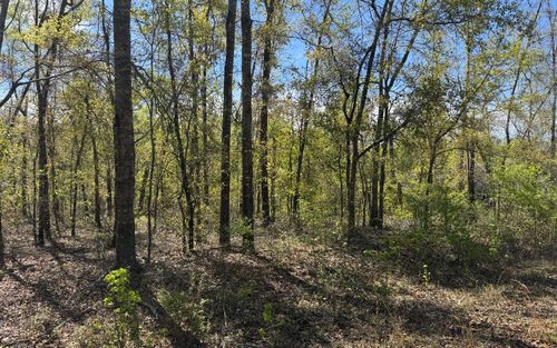 LOT22 Nw Evergreen Oak Pl, JENNINGS, FL, 32053 | Card Image