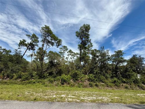 LOT 1 Dahlia St, EUSTIS, FL, 32736 | Card Image