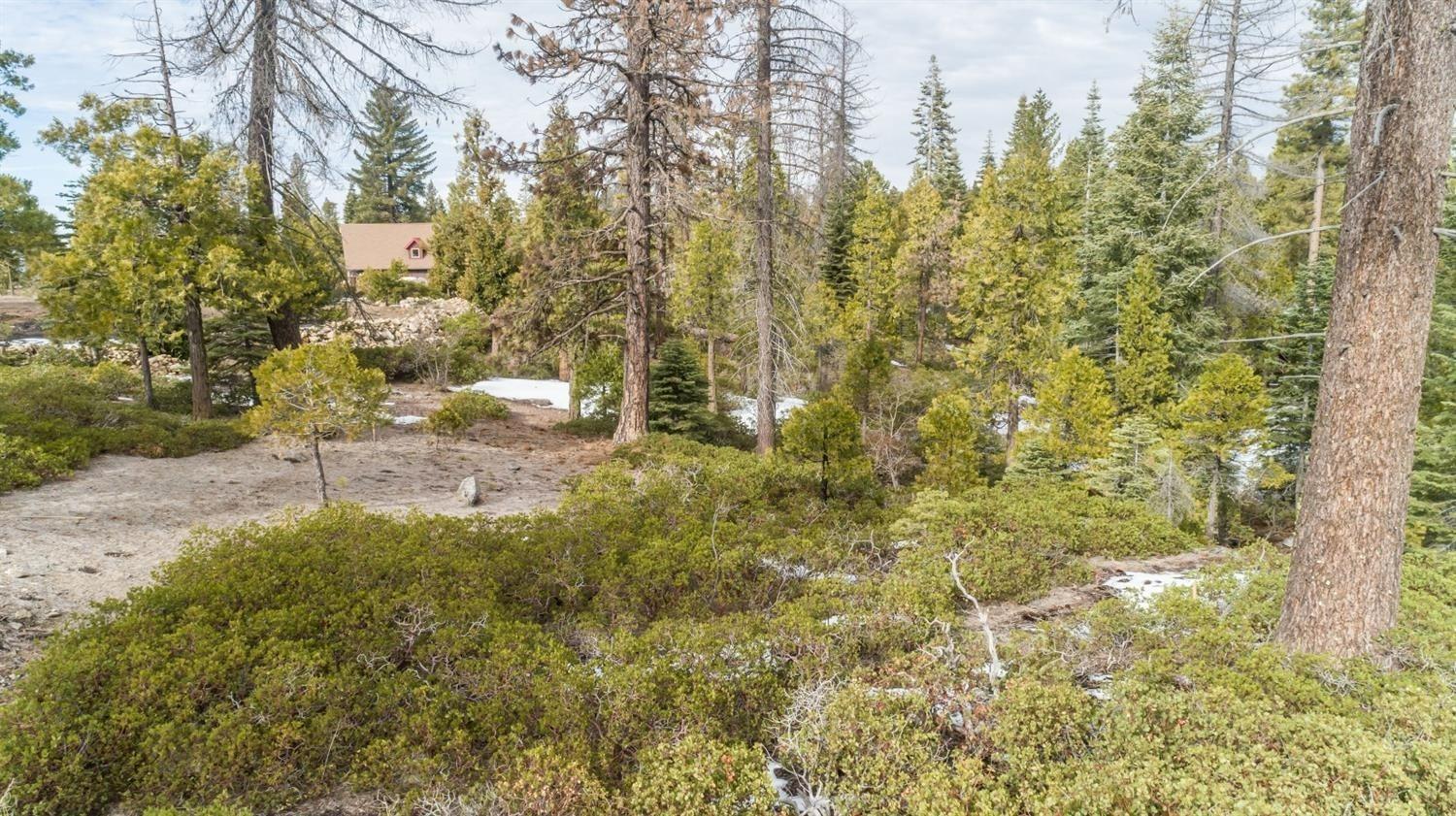 Land in Shaver Lake 4