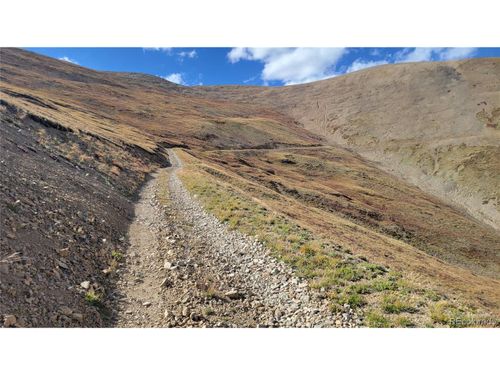 17664 Last Rose, Barry Lyndon, Rory Omore - 66.66%, Alma, CO, 80420 | Card Image