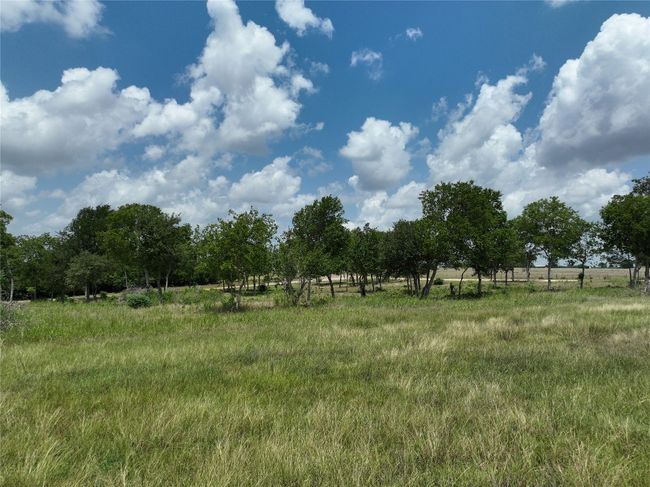 0000 Mcelroy Ln, Home with 0 bedrooms, 0 bathrooms and null parking in New Ulm TX | Image 4