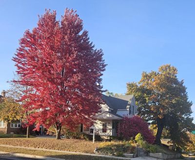 801 Prospect Avenue, House other with 4 bedrooms, 1 bathrooms and null parking in Portage WI | Image 1