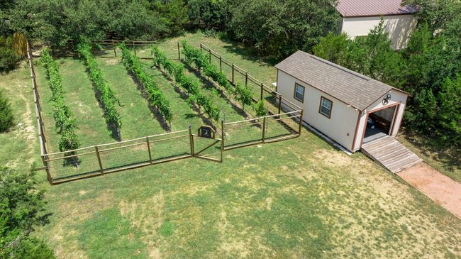 A standout feature is the established personal vineyard, ready for you to enjoy your winemaking hobby | Image 35