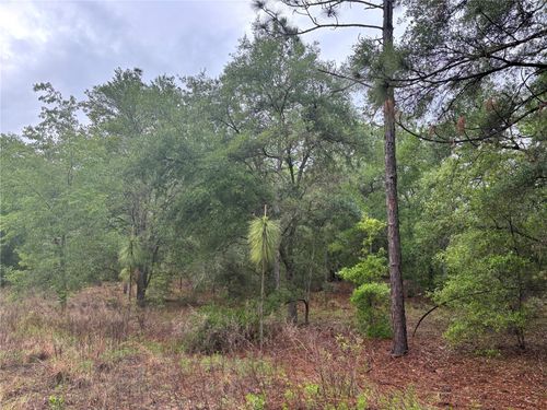 0000 Sw 19th Place, OCALA, FL, 34481 | Card Image