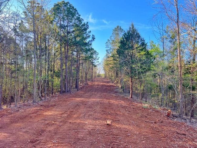 99 Cr 2107, Home with 0 bedrooms, 0 bathrooms and null parking in Rusk TX | Image 11