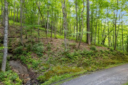 12c-Lt 12C Von Trapp Ln, Tuckasegee, NC, 28783 | Card Image