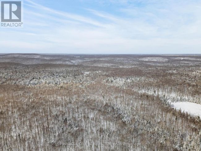 12626 County Rd 503 Road, Home with 0 bedrooms, 0 bathrooms and null parking in Highlands East (Monmouth) ON | Image 8