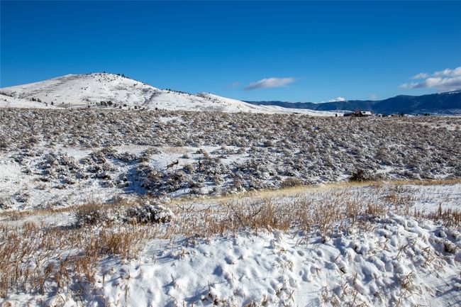 Mule Deer on Property | Image 20