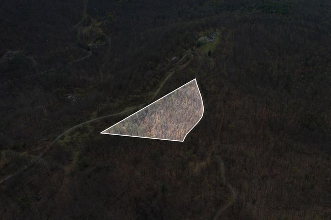 c8 | Image 15