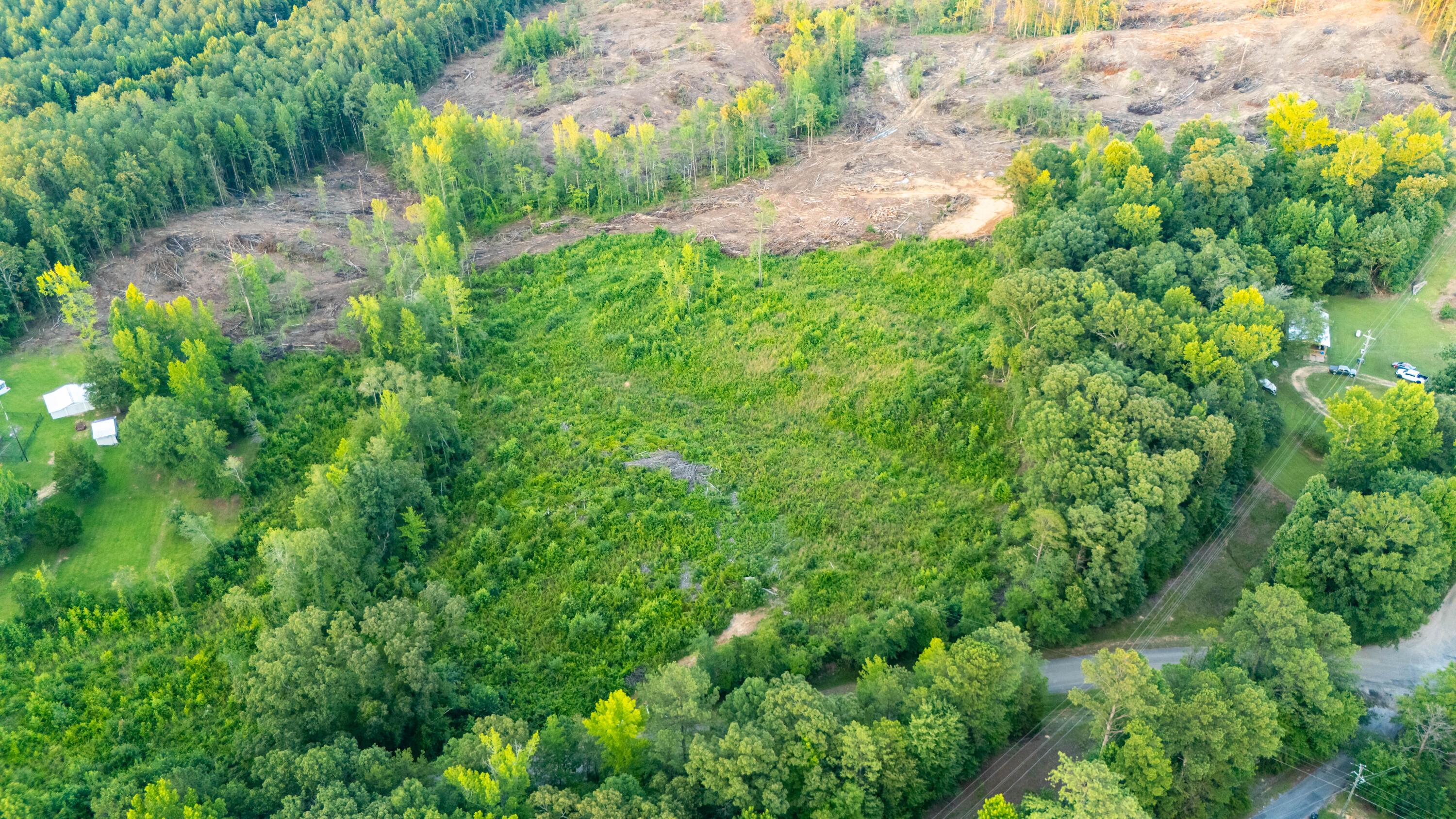 Land in Guin 5