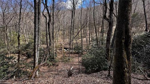 000 Mission Xing, Banner Elk, NC, 28604 | Card Image