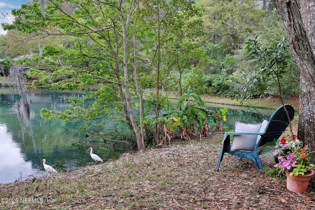13975 Athens Dr, House other with 3 bedrooms, 2 bathrooms and null parking in Jacksonville FL | Image 36