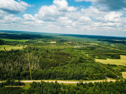 40699 Jack Pine Rd, Bagley, MN, 56621 | Card Image