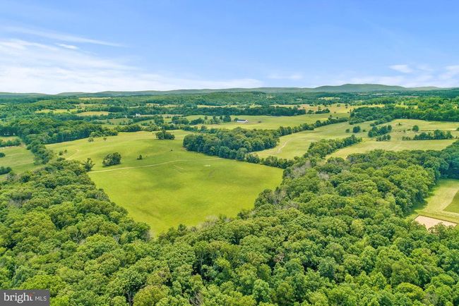8160 Frogtown Rd, Home with 0 bedrooms, 0 bathrooms and null parking in MARSHALL VA | Image 23