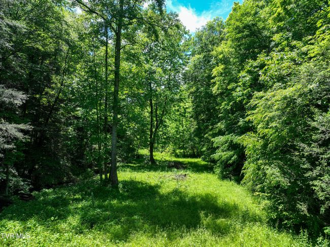 24483 Cave Creek Rd, House other with 5 bedrooms, 3 bathrooms and null parking in Abingdon VA | Image 95
