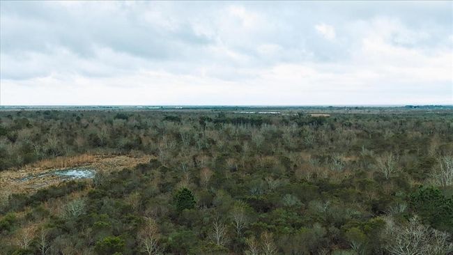 0000 Gulfway Dr, Home with 0 bedrooms, 0 bathrooms and null parking in Stowell TX | Image 27