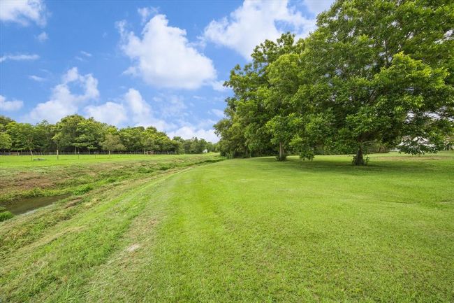 MUSTANG BAYOU RUNS RIGHT ALONG THE BACK OF THE PROPERTY WITH THESE THREE GORGEOUS PECAN TREES STANDING PROUDLY ALONG ITS BANK. | Image 45