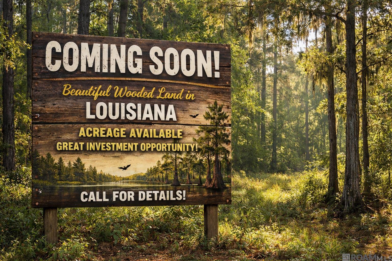 Land in Denham Springs