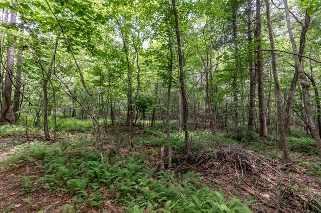 26.18 AC Green Road, Home with 0 bedrooms, 0 bathrooms and null parking in Young Harris GA | Image 21